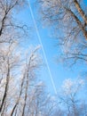 Snow-covered trees and a trace of an airplane Royalty Free Stock Photo