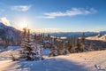 Snow covered trees with Whistler Creekside valley in the background. Royalty Free Stock Photo