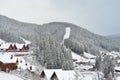 Snow covered trees, winter background with copy space