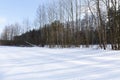 Snow-covered trees in winter, deciduous trees