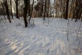 Snow-covered trees in winter, deciduous trees