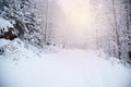 Snow covered trees in the winter forest Royalty Free Stock Photo