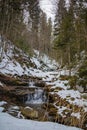 Snow covered trees in winter forest with small waterfall. Royalty Free Stock Photo