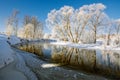 Snow covered trees at the winter river Royalty Free Stock Photo