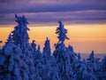 Snow-covered trees in winter at sunset in the foothills of the Ural mountains Royalty Free Stock Photo