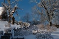 Snow-covered trees and wooden stairs, blue sky, winter contrasts