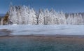 Snow covered trees in Yellowstone next to thermal pool