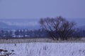 Snow-covered Ural expanses in the valley of the Sylva River against the backdrop of Mount Podkamennaya