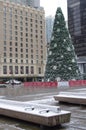 Snow covered Vancouver Christmas tree in front of historic Hotel Georgia Royalty Free Stock Photo