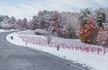 Snow-covered Veteran Cemetery Royalty Free Stock Photo