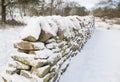 Snow covered wall in winter Royalty Free Stock Photo