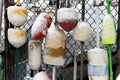 Snow covered water buoys