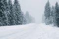 Snow-Covered way gping through the pine tree winter Forest Royalty Free Stock Photo