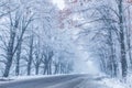 Snow-covered wayside trees.