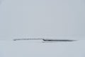 Snow covered windshield with wiper blades. Frozen snow on car in cold winter morning. Concept of driving in winter time Royalty Free Stock Photo