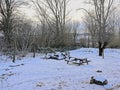 Snow covered winter farden in th flemish counttryside Royalty Free Stock Photo