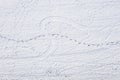 Snow covered winter landscape in Bavarian forest with traces of car tires sled footprints in deep snow, Germany