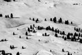 A snow-covered winter minimalistic skiing landscape with evergreen trees and small figures of skiers