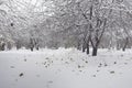 Snow-covered winter park and benches. Park and pier for feeding ducks and pigeons. The first snow covered the autumn park Royalty Free Stock Photo