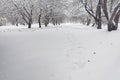 Snow-covered winter park and benches. Park and pier for feeding Royalty Free Stock Photo