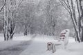 Snow-covered winter park and benches. Park and pier for feeding Royalty Free Stock Photo