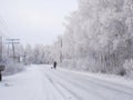 Snow-covered winter road, birches in hoarfrost, winter landscape Royalty Free Stock Photo