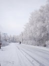 Snow-covered winter road, birches in hoarfrost, winter landscape, soft focus Royalty Free Stock Photo