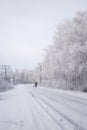 snow-covered winter road, birches in hoarfrost, winter landscape Royalty Free Stock Photo