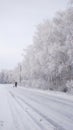 Snow-covered winter road, birches in hoarfrost, winter landscape Royalty Free Stock Photo