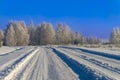 Snow covered winter road lined with trees Royalty Free Stock Photo