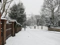 Snow covered winter tree lined road