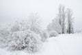 Snow covered wintry landscape