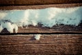 Snow covered wood stack