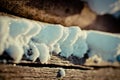 Snow covered wood stack