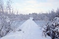 Snow-covered wooden bridge over the lake in December