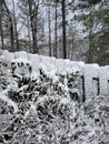 Snow covered wooden fence and bushes Royalty Free Stock Photo