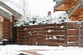 Snow-covered wooden fence in the countryside. Winter background Royalty Free Stock Photo