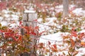 Snow-covered wooden fence post surrounded by red leaves of Oregon Grape Holly Royalty Free Stock Photo