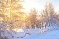 Snow covered wooden fence and trees in winter landscape Royalty Free Stock Photo