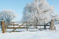A snow-covered wooden gate in a sunny winter landscape Royalty Free Stock Photo