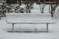 Snow covered wooden park bench in winter forest Royalty Free Stock Photo