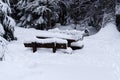 Snow covered wooden picnic table in a forest Royalty Free Stock Photo