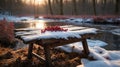 Red Berries on Snowy Wooden Bench with River and Forest in Golden Sunset Light Royalty Free Stock Photo