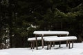 Snow covered wooden table and benches in forest Royalty Free Stock Photo
