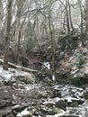 Snow covered woodland with steep hillside stream running over rocks and boulders