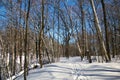 Snow-covered woods hiking trail in Winter landscape Royalty Free Stock Photo