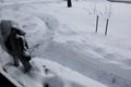 Snow Covered Yard with Shoveled Path and Mailbox