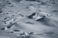 Snow covers anthill Royalty Free Stock Photo
