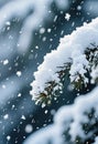 Snow covers the branches of a pine tree as snowflakes fall around it. The background shows blurred trees in a forest. The setting Royalty Free Stock Photo
