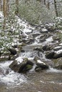Snow covers a small stream in the Great Smoky Mountains. Royalty Free Stock Photo